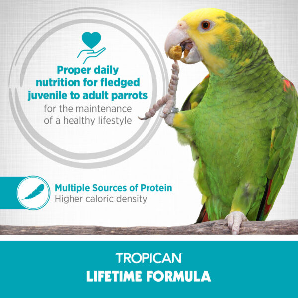 Lifetime Formula for Parrots, 2 mm Granules